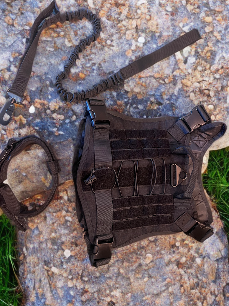 EV UNIT Lead Ready Set- Harness, Collar and Leash! (Size Large)