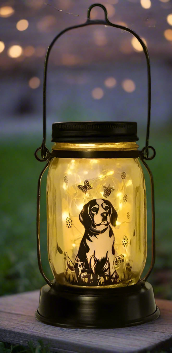 Solar-Powered Dog Lantern