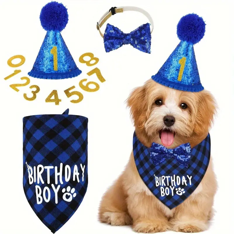 4 Piece Blue Dog Birthday Hat Set