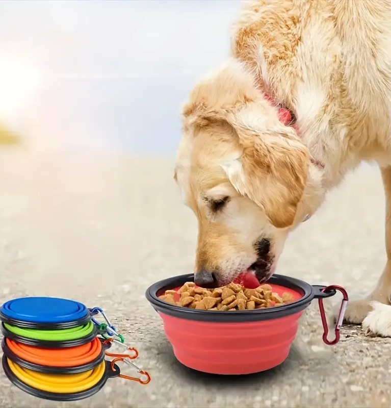 Compact Collapsible Silicone Bowl