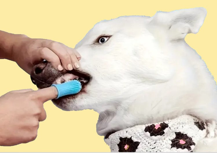 4 Pack Gentle And Non-Toxic 360 Pet Toothbrush