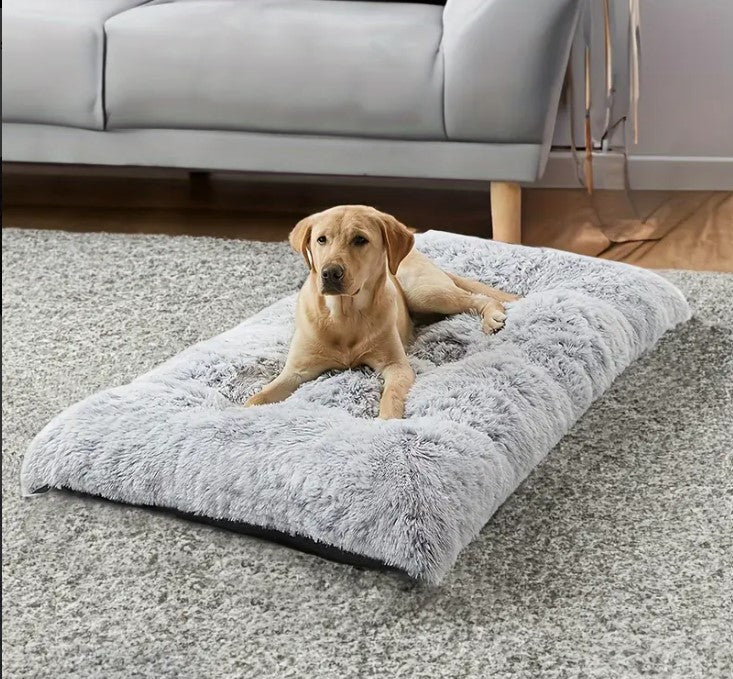 Pet Bedding Collection