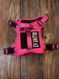 EV UNIT Grip & Go Standard Harness