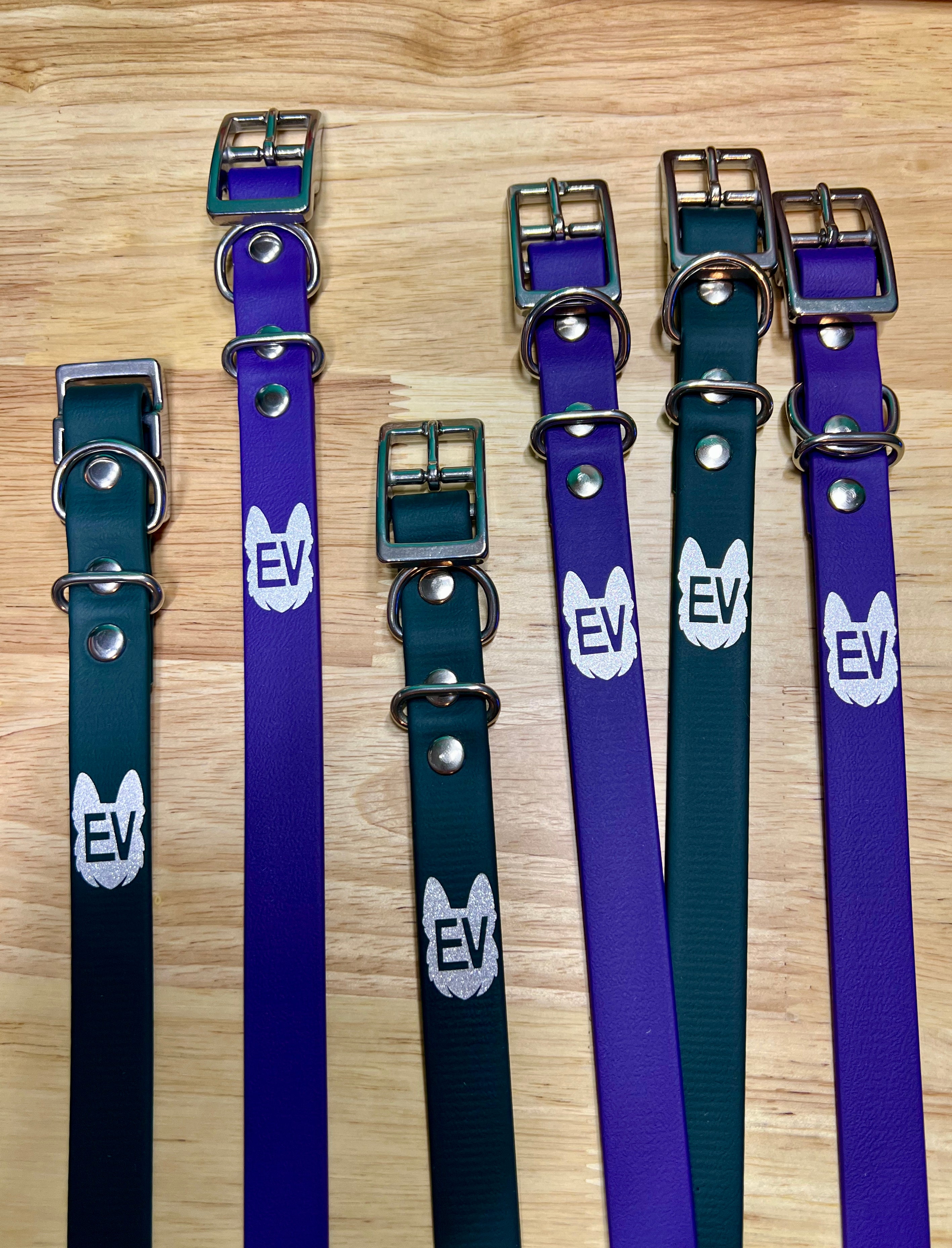 BLUE MOUNTAIN (3/4", Steel) Adjustable Buckle Flat Collar