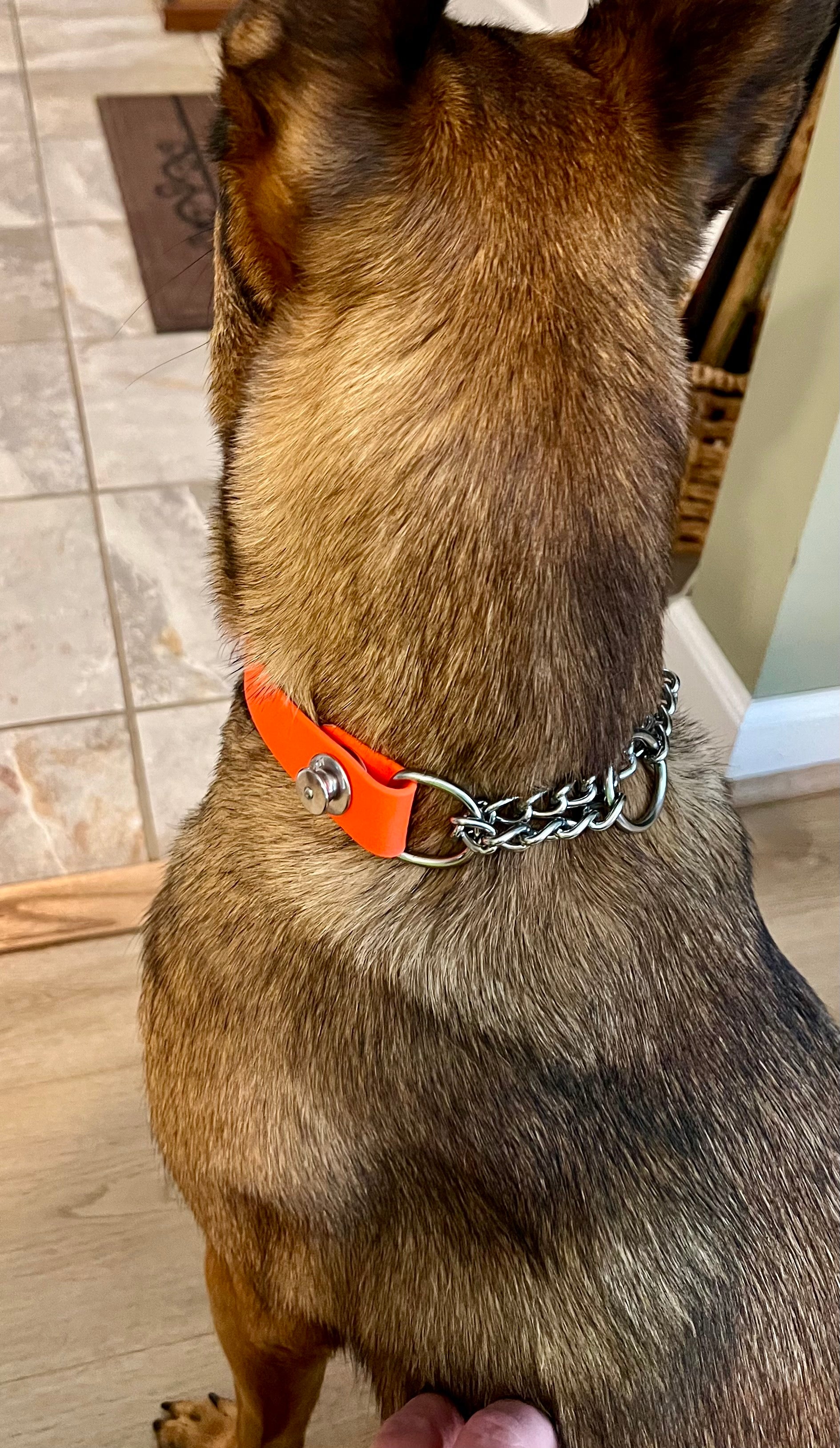 BALD MOUNTAIN Quick Release Martingale Collar (1", Steel)