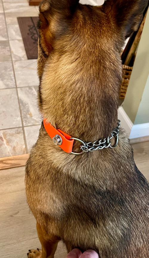 BALD MOUNTAIN Quick Release Martingale Collar (1", Steel)