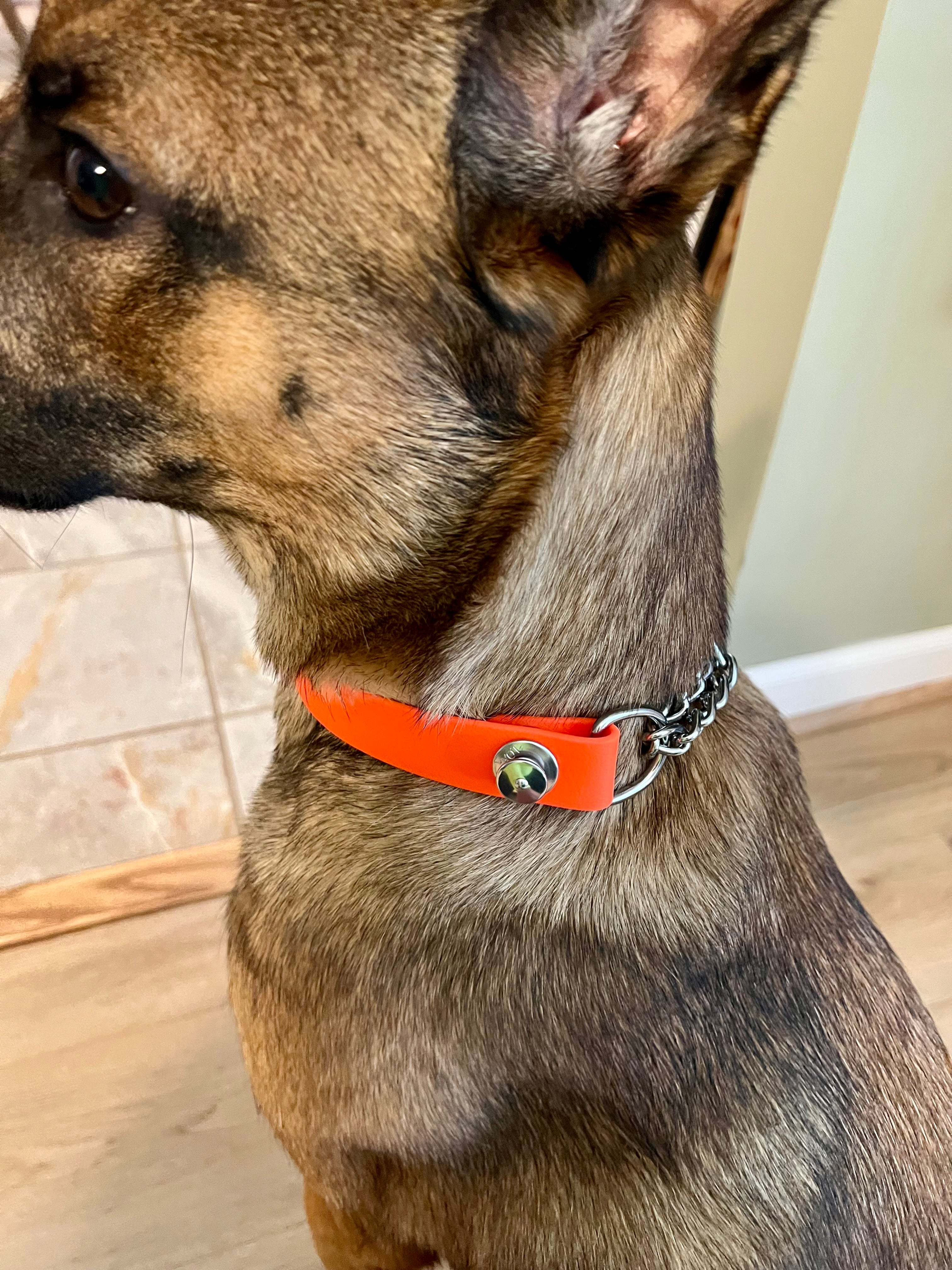 BALD MOUNTAIN Quick Release Martingale Collar (1", Steel)