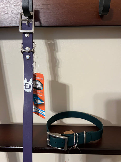 BLUE MOUNTAIN (3/4", Steel) Adjustable Buckle Flat Collar