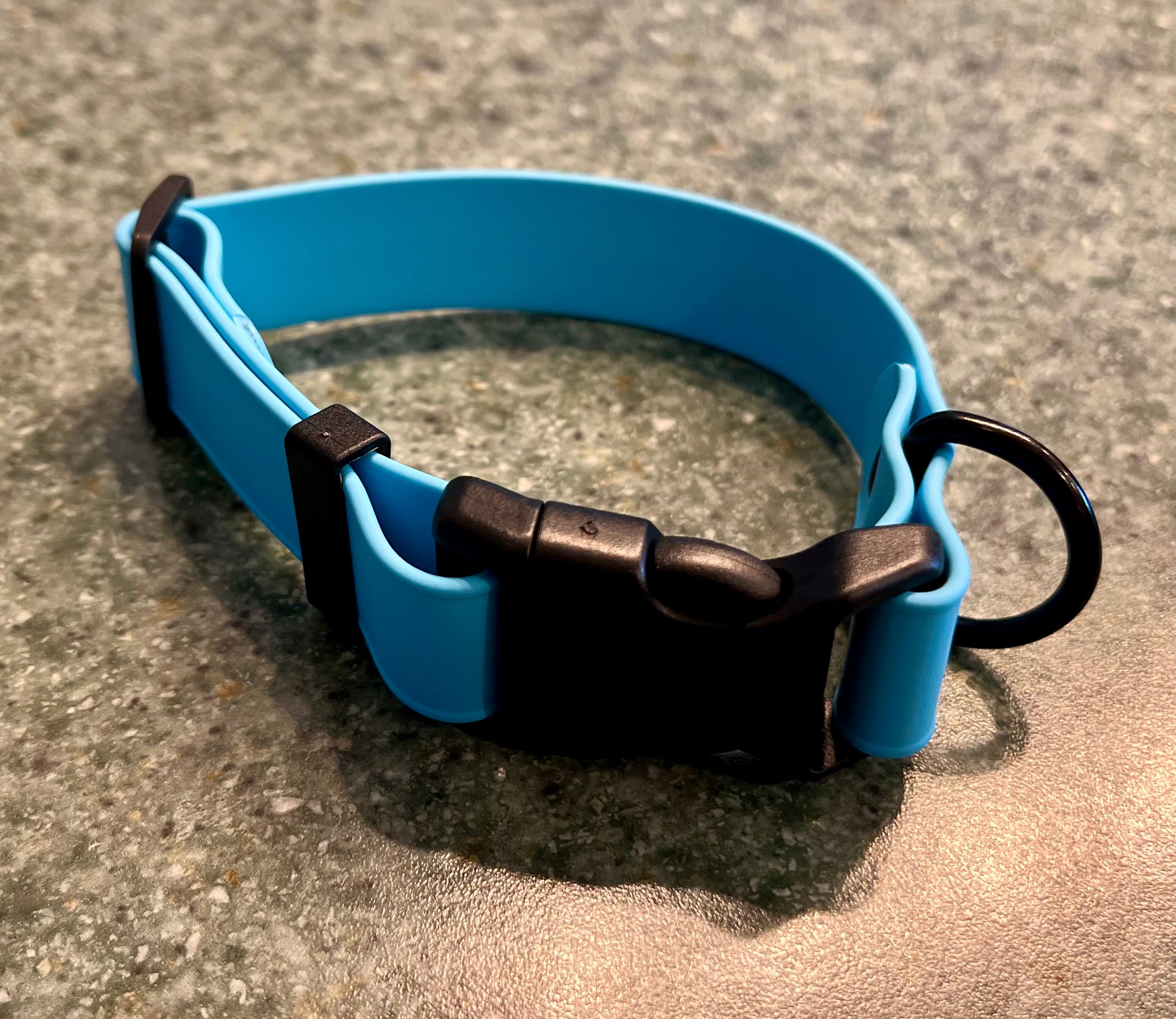 CHESTNUT RIDGE Adjustable Buckle Flat Collars (1", black, steel/plastic)