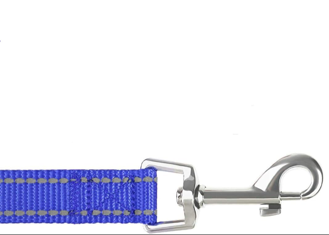Nylon Leash- Padded Handle