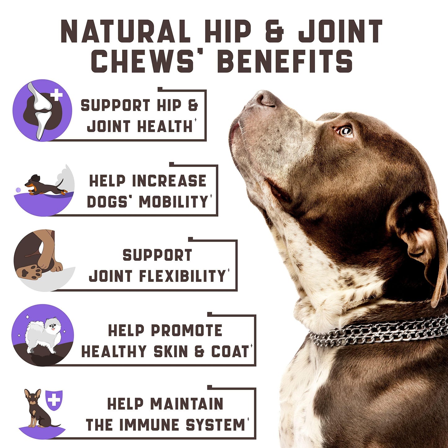 Dogs Hip & Joint Supplement w/ Hemp!