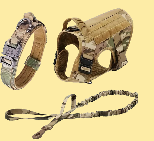 Dog Tactical Harness, Collar, and Leash Gear (Complete Set)