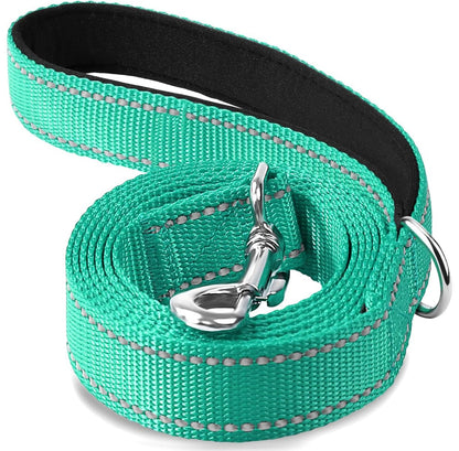Nylon Leash- Padded Handle