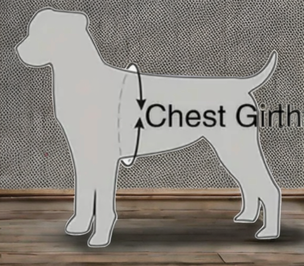 Everyday Easy-Walk Dog Harness — Medium