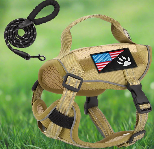 The EV StayPut Harness