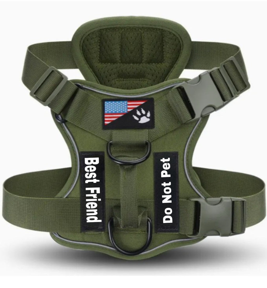 Gentle Control Pet Harness