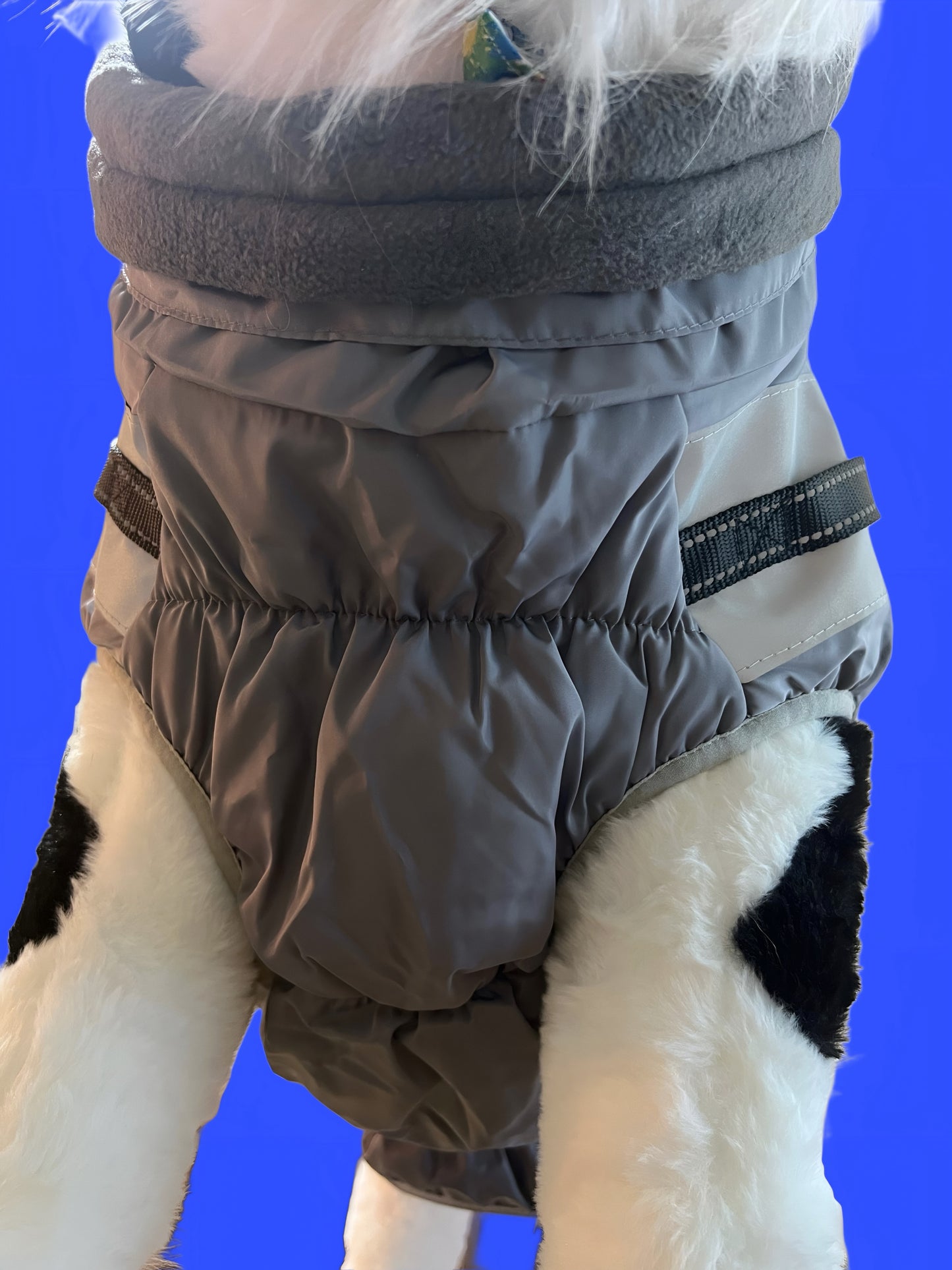 Dog Vest/Jacket – Harness-Ready 2XL