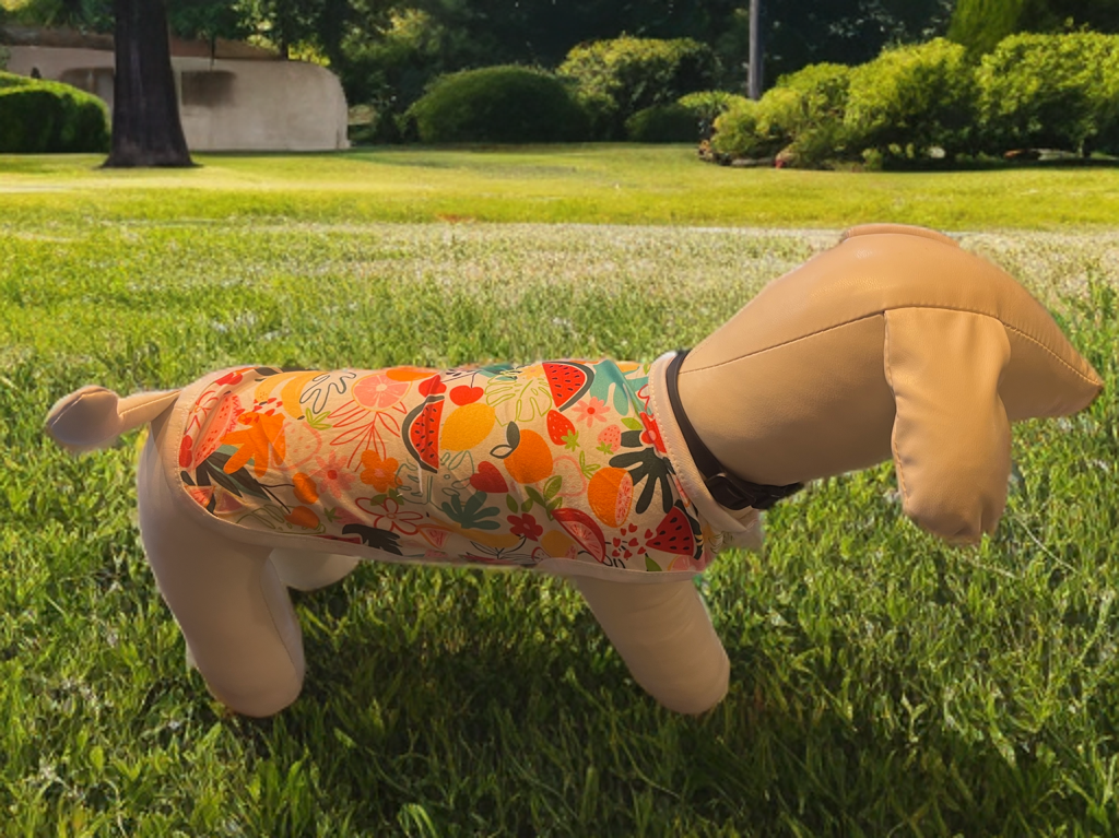 Lightweight pet shirt- Size Small