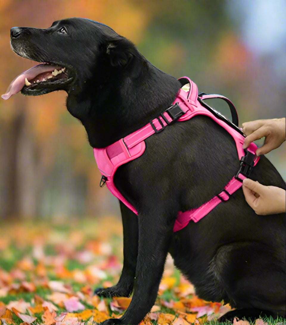 EV UNIT Grip & Go Standard Harness