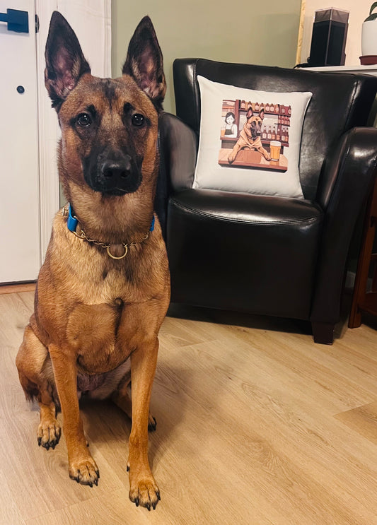 Sit. Stay. Style! Pillow Cover
