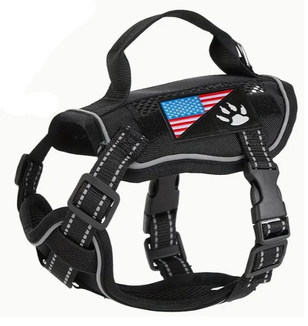The EV StayPut Harness