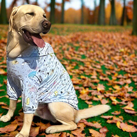Dino & Unicorn Print Hoodie for Large Dogs