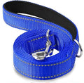 Nylon Leash- Padded Handle