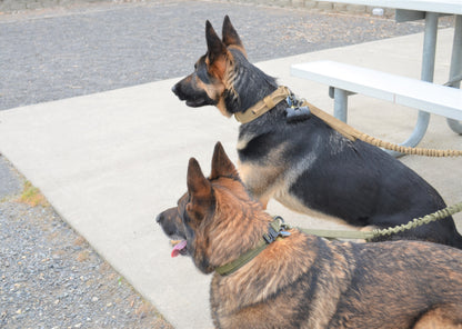 Dog Tactical Harness, Collar, and Leash Gear (Complete Set)