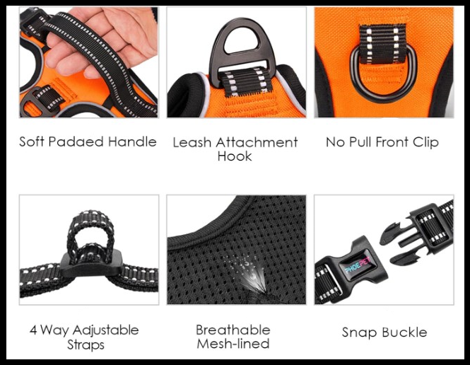 Secure Easy to Put On & Take Off- No-Pull Harness