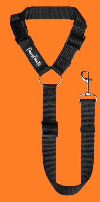 Headrest Dog Car Safety Seatbelt- Dual Function
