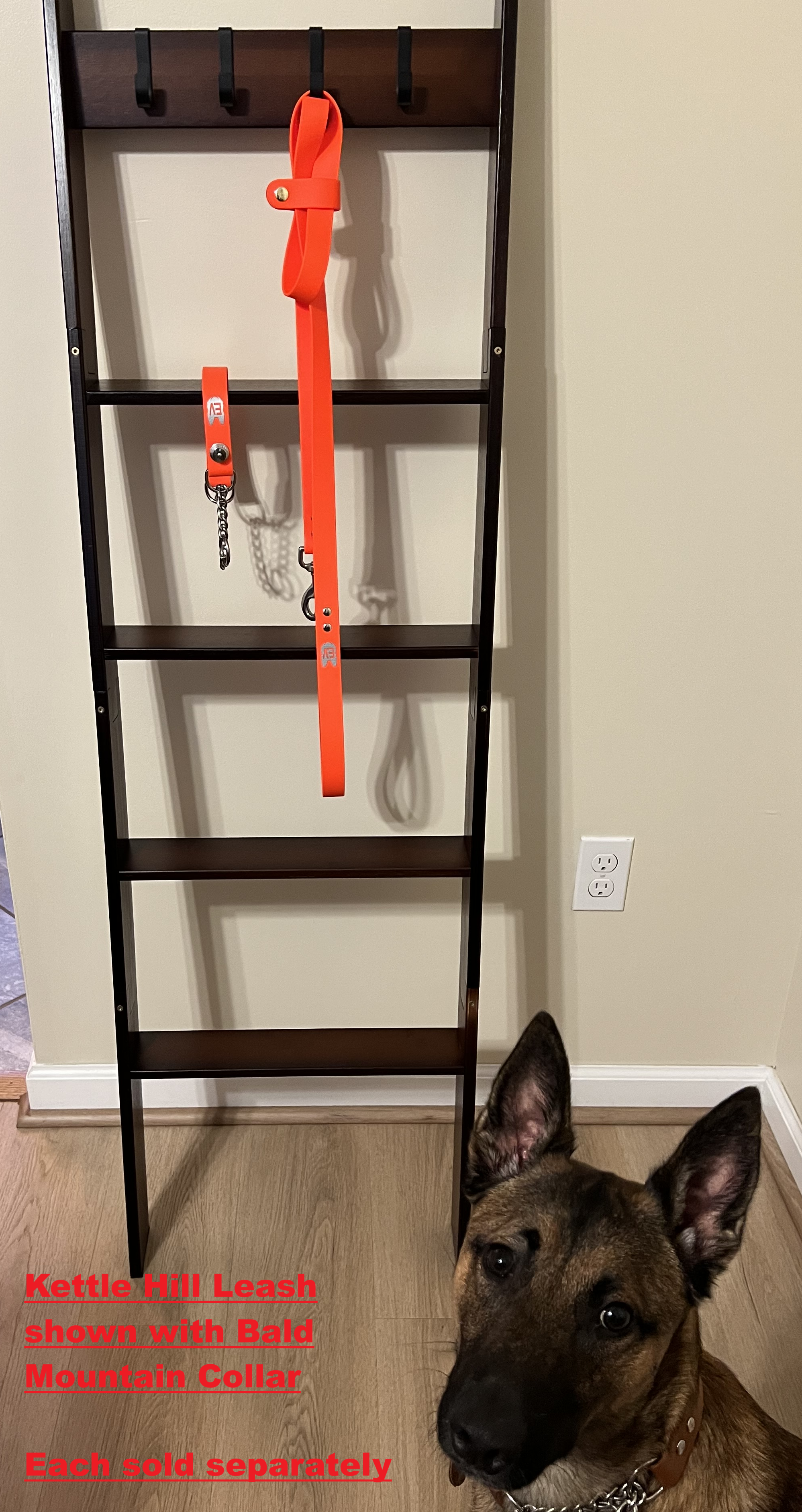 KETTLE HILL Leash (1", Stainless Steel)