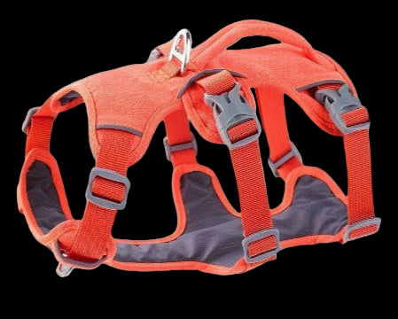 Escape Guard Pet Harness