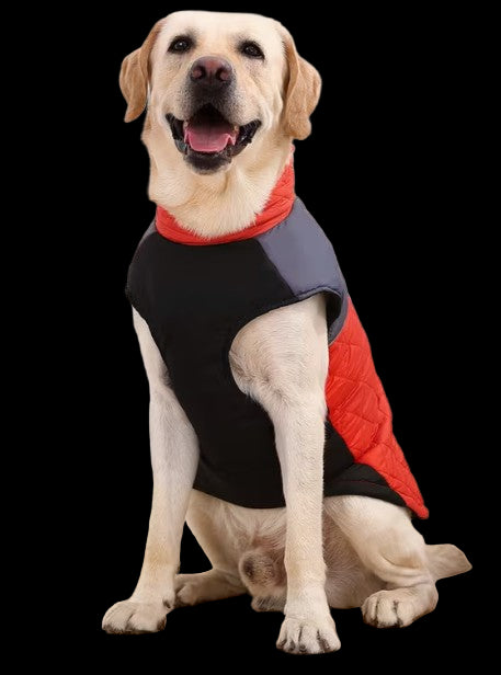 EV Quilted Pet Jacket